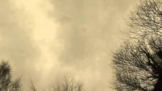 The Autumnal Beauty of the Verbos Harmonic Oscillator