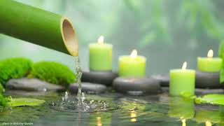 Download Lagu 🌿 Bamboe slaapmuziek – Genees slapeloosheid, kalmeer angst, diepe ontspanning en helende stressverl MP3 Download Lagu 🌿 Bamboe slaapmuziek – Genees slapeloosheid, kalmeer angst, diepe ontspanning en helende stressverl MP3