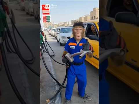 قرد عراقي يشتغل بانزين خانه ذكاء اصطناعي  ضحك تحشيش عراقي ترند اكسبلور