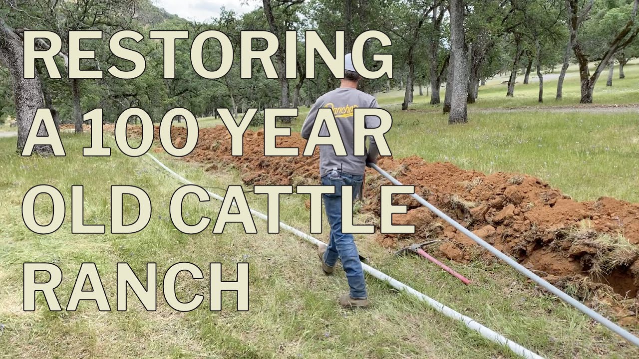 Old Cattle Ranches Restoring a 100 year old cattle ranch. - YouTube