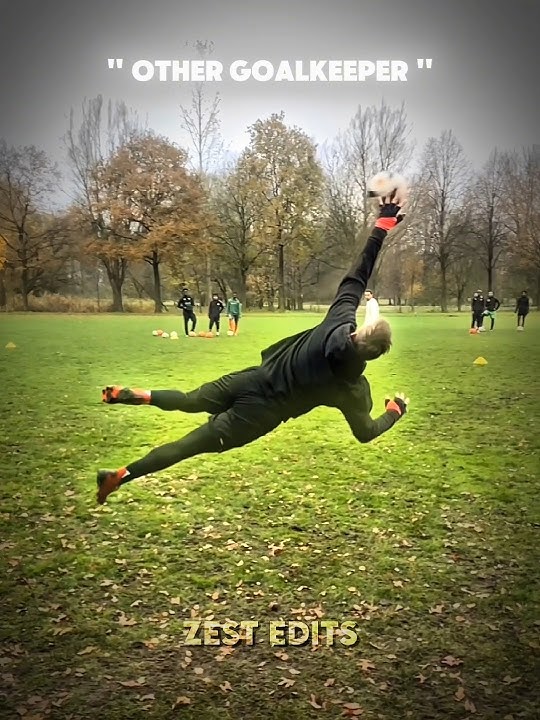 Other Goalkeepers Vs This One 💀