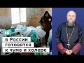 СВО и защита общества: какие сюрпризы приготовили депутаты в законах о холере и чуме