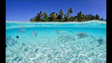 سورة المجادلة .. الشيخ مشاري راشد تلاوة قديمة