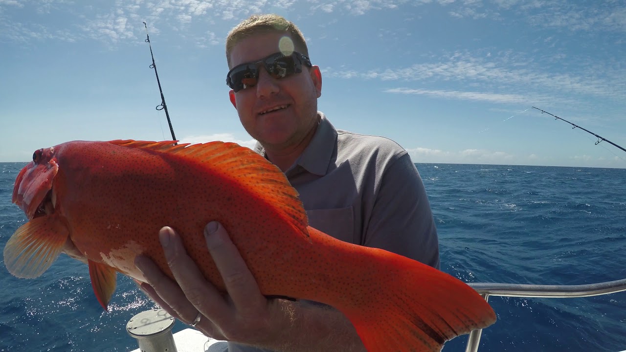 Great Barrier Reef fishing charter with Cairns Reef Fishing YouTube