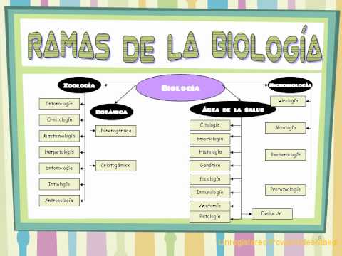 Ramas de biologia1-06-11-17-33_wmv.wmv - YouTube