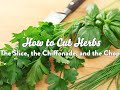 How to Cut Herbs
