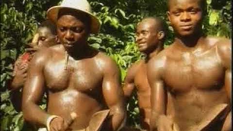 Shidordor - America (Official Video)