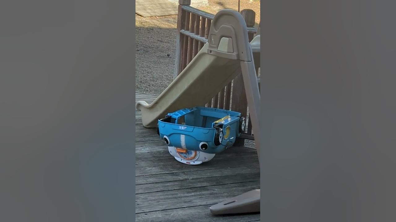 many robins in robins yard YouTube