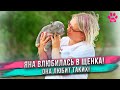 Родился уникальный булли с ГОЛУБЫМ ГЛАЗОМ! Обзор щенков МИЛЫ и СИЛЬВЕРА!  Какой стала ЛУНА?