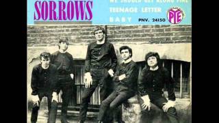The Sorrows - Take A Heart