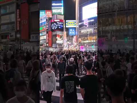 2025年9月11日（木）夜の東京渋谷スクランブル交差点の混雑状況。観光客大大殺到！