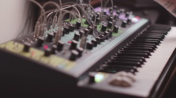 Moog Matriarch | ambient sequence with my first patch. #moog 