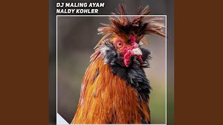 Dj Maling Ayam