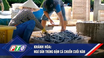 Khánh Hòa: ngư dân trúng đậm cá chuồn cuối năm  | PTQ