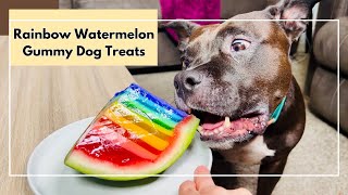 How To Make Rainbow Watermelon Gummy Dog Treats 🌈 | Homemade DIY Pride Month Dog Treats