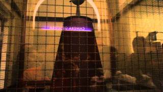 Griffith Observatory Tesla Coil -500000 Volts record with Sony NEX-5 16mm lens 1080i 60fps AVCHD Griffith Observatory Tesla Coil