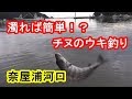 【大雨後】お手軽チヌの棒ウキ釣り【奈屋浦漁港】