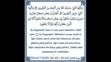 سورة الانفال | يا أيها النبي حَسبُكَ الله ومنِ اتبعكَ منَ المُؤمنينَ | محمد اللحيدان
