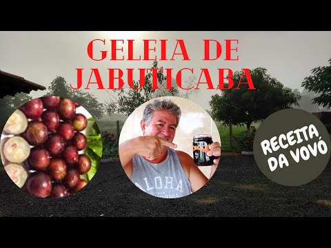 GELEIA DE JABUTICABA DA VOVÓ