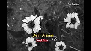 Delil Dilanar-Xeyidîme(kurdish Trap)#2022#kurdishtrap#remix Resimi