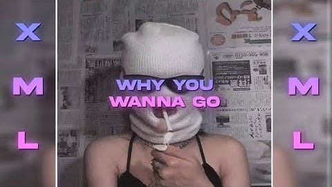 Why you wanna go||Alight motion preset||free xml in description box 📦 ||subscribe for more🙏 🥰