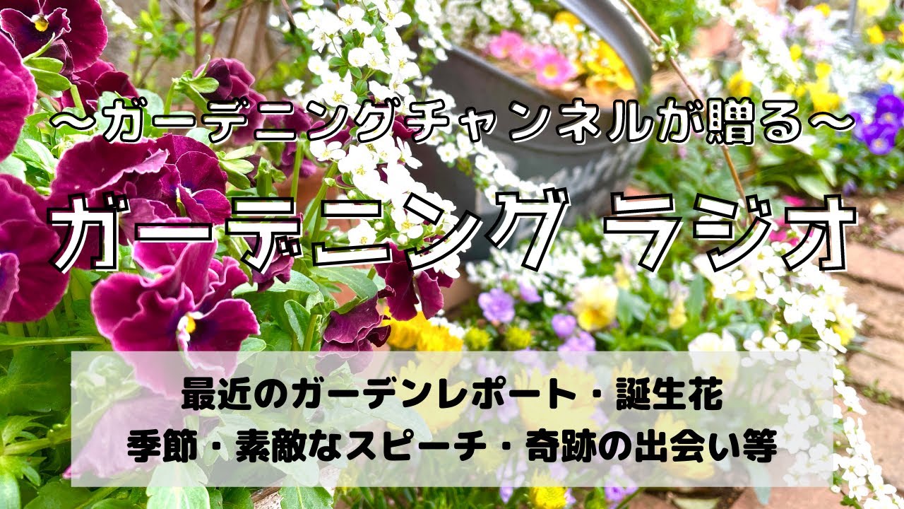 N.GARDENS☆即日発送16時まで☆ Z/X -Zillions of enemy X- | 商品一覧 | TCG / サプライ | 株式会社