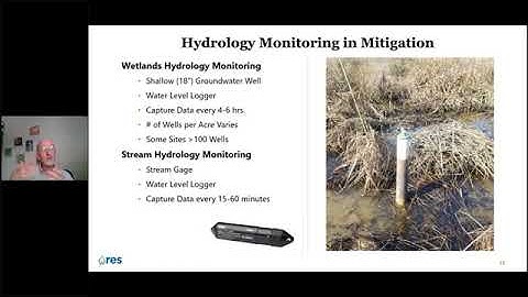 How to use real time water level data for wetland and stream mitigation monitoring | HOBO