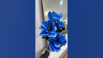 Shop at tmigifts.com but don’t forget use code TMISHIP for free shipping when you spend $50 or more!