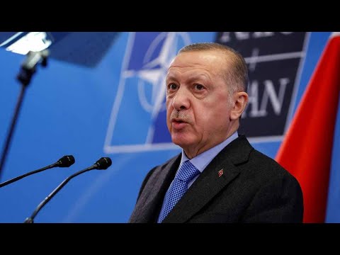 თურქეთის პრეზიდენტის პირობა ფინეთსა და შვედეთს