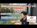 【芝生管理】芝生を新植以上の状態へ引き上げる椿緑化式全面改良、トラクティングの経過観察回です。芝管理の常識を壊します。