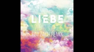 Liebe - What is life ( Dim Zach Remix)