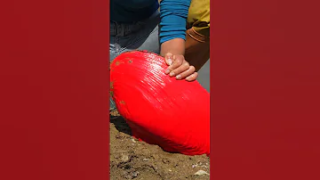 Girl Boldly Turns On Red Mutant Giant Clam 