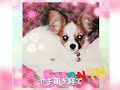 プロローグ