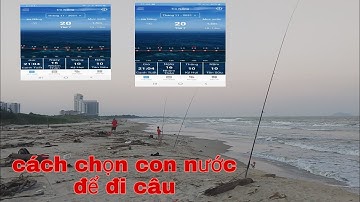Hướng dẫn xem con nước để đi câu cá biển, câu sông áp dụng cách xem mực nước thì sẻ câu cá hiệu quả