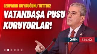 Ankara’yı Sarsacak Erken Seçim İddiası: Leoparın Kuyruğunu Tuttuk