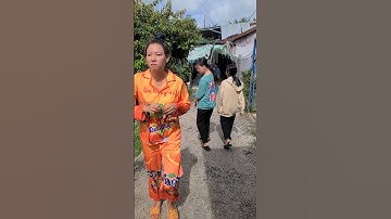 Vứt rác bừa bãi là sai #shost #funny