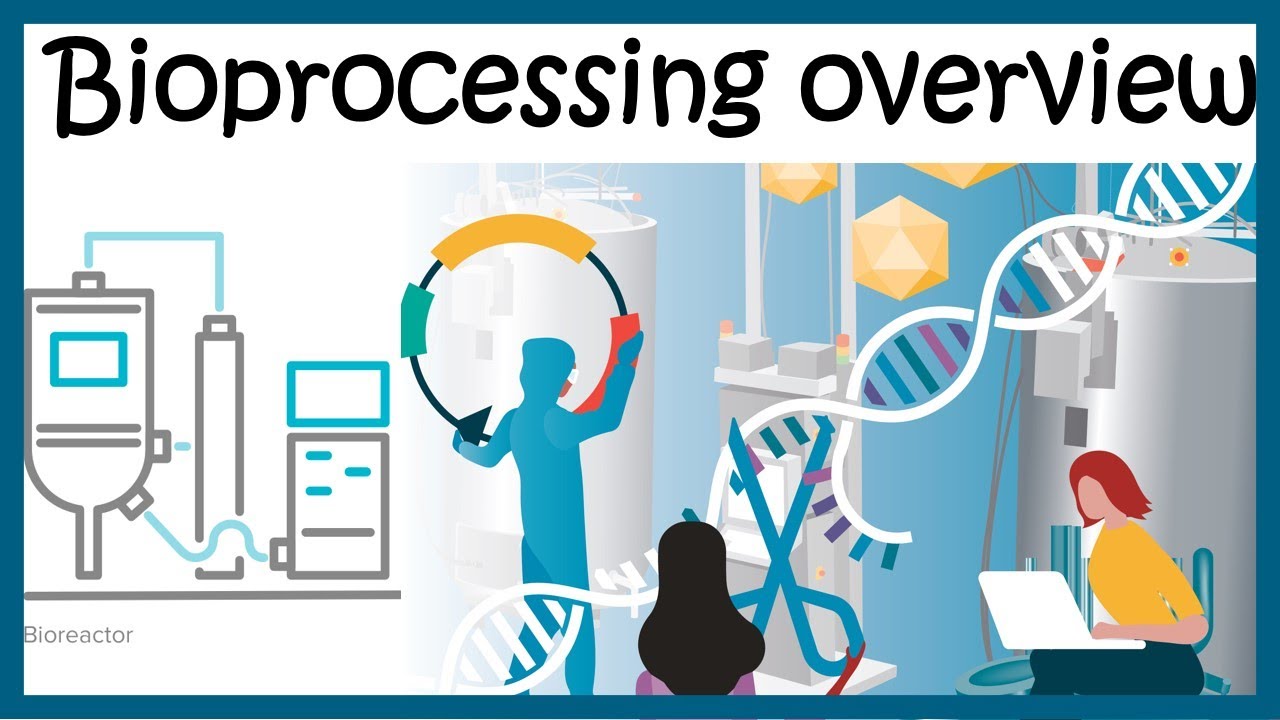 Upstream Processing Flow Chart