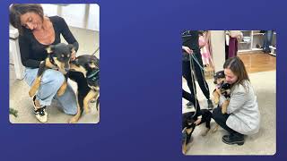K9s 'N Cops Meet Cypress & Magnolia