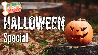 👻LIVE: KWT Halloween Special!
Put on a costume, grab some candy, your fave beverage, and join us in this fun Halloween Special🎃
*************
Order my Wallys World Oracle here: https://www.etsy.com/listing/710072354/wallys-world-oracle-a-healing-journey?ref=shop_home_feat_1&frs=1
Order my Victorian Flower Oracle here: https://www.makeplayingcards.com/sell/kittens-weights-and-tarot
Official Website: http://www.kittensweightsandtarot.com
My Email Address: tara@kittensweightsandtarot.com
*************
Become a Patron https://www.patreon.com/kittensweightsandtarot
Become Channel Member https://www.youtube.com/c/KittensWeightsandTarot/join
Donate to my PayPal Me https://www.paypal.me/KittensWeightsTarot
Instagram https://www.instagram.com/kittensweightsandtarot/
Facebook http://www.facebook.com/kittensweightsandtarot
Newsletter https://www.kittensweightsandtarot.com/newsletter
Official Website http://www.kittensweightsandtarot.com
Terms of Use https://www.kittensweightsandtarot.com/privacy-policy
Desert Cauldron https://www.etsy.com/shop/DesertCauldron
León Mystery School https://www.kittensweightsandtarot.com/léon-mystery-school
My Witchy Amazon Wishlist: https://www.amazon.com/hz/wishlist/ls/1A8STEWYNA23J?ref wl_share
Looking for tarot goods & magickal items? Check out Goddess Provisions and use my link http://gpreferral.refr.cc/kwttribe
Looking for magickal tarot & oracle decks? Go to https://dabrigh.com/ and use code: KWT20 for 20% off of your order.
Want to send some snail mail?
Tara Egipto
P.O. Box 3443
Show Low, AZ. 85902
*************
Disclaimer:
This company does not offer medical, psychological, legal or financial services of any kind. Should you be experiencing any kind of emergency, please seek professional help or call 911. Services of company are for entertainment, spiritual and educational purposes only. By watching this video you agree to the Terms of Use located at: https://www.kittensweightsandtarot.com/privacy-policy
🎙️ New to streaming or looking to level up? Check out StreamYard and get $10 discount! 😍 https://streamyard.com/pal/d/6418963786366976 👻LIVE: KWT Halloween Special!