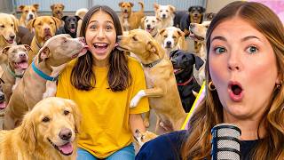 Ivy Wants To Rescue Dogs!