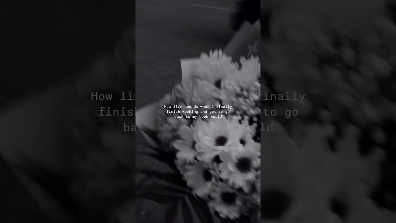 Nothing beats the feeling of returning to my book world after a long day. 📖✨