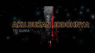 KARAOKE POP INDONESIA AKU BUKAN JODOHNYA COVER ADISTA