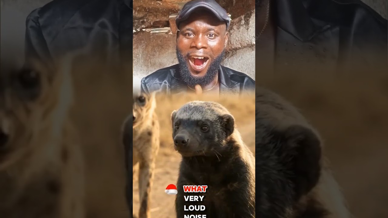 😱😱😲🤣 #viralvideo #jimcorbettwildlifeandnatureview #animals #funny
