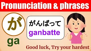 Basics Of Japanesephrases Of Dakuon