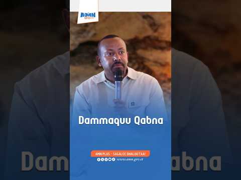 Dammaquu Qabna MM Abiyyi Ahimad PhD