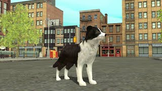I'm a Border Collie! | Dog Simulator screenshot 4