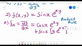 Partial derivatives | How to differentiate partially