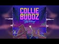 Collie Buddz Take It Easy Ineffable Music Release 2023 mp3