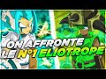 [DOFUS] TARKAN / CETTE BAGUETTE EST INCROYABLE vs N°1 ELIOTROPE !