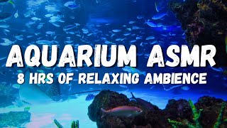Dive Into Tranquility: Dreamy Underwater Asmr At Sea Aquarium, Your Ultimate Relaxation Experience.